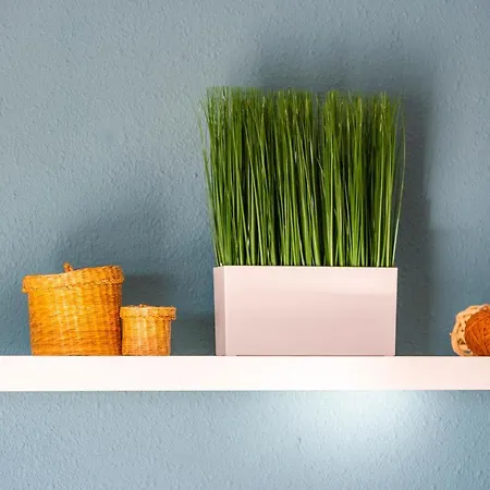 Apartament N1 *